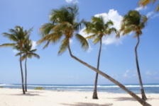 Guadeloupe