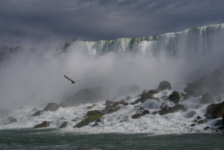 Niagara - Toronto