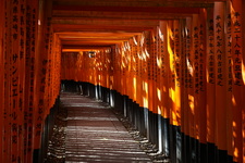 Japon