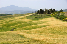 Toscane