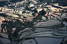 Yunnan